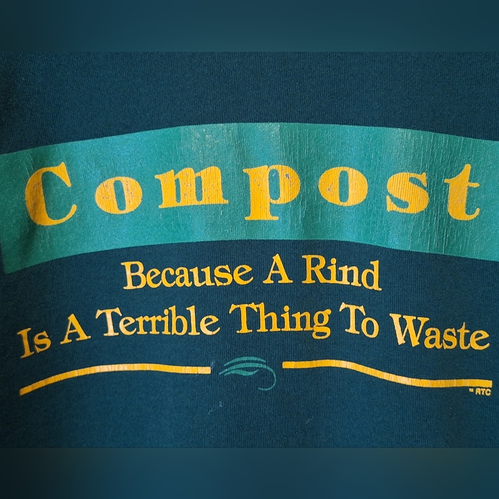 Vintage Hanes Graphic Sweatshirt